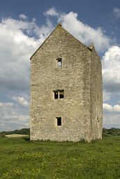 Bruton Dovecote © National Trust Images