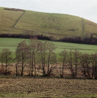 View of the Cerne Giant cut into the chalk, Cerne Giant © National  Trust